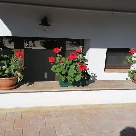 Bed and Breakfast Ana Boutique Alba Iulia Exteriér fotografie